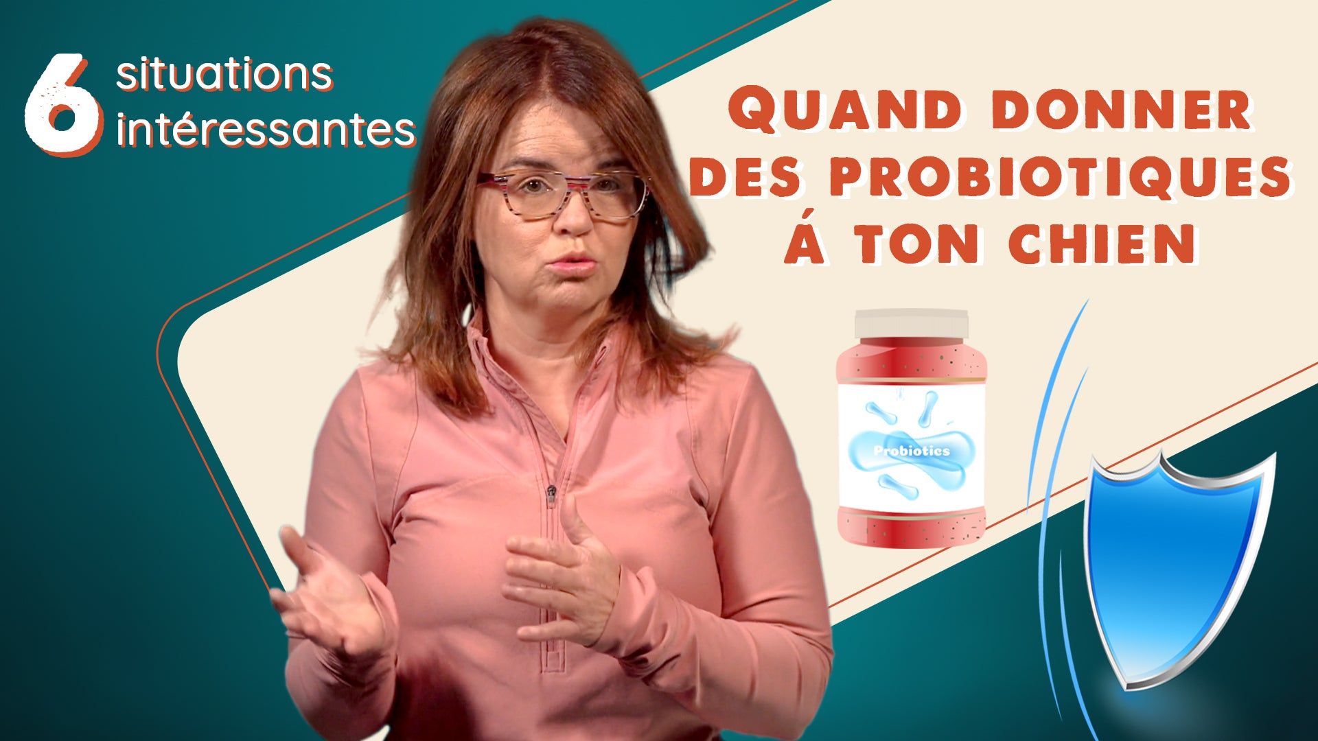 Les probiotiques pour chiens : quand et comment les utiliser ?