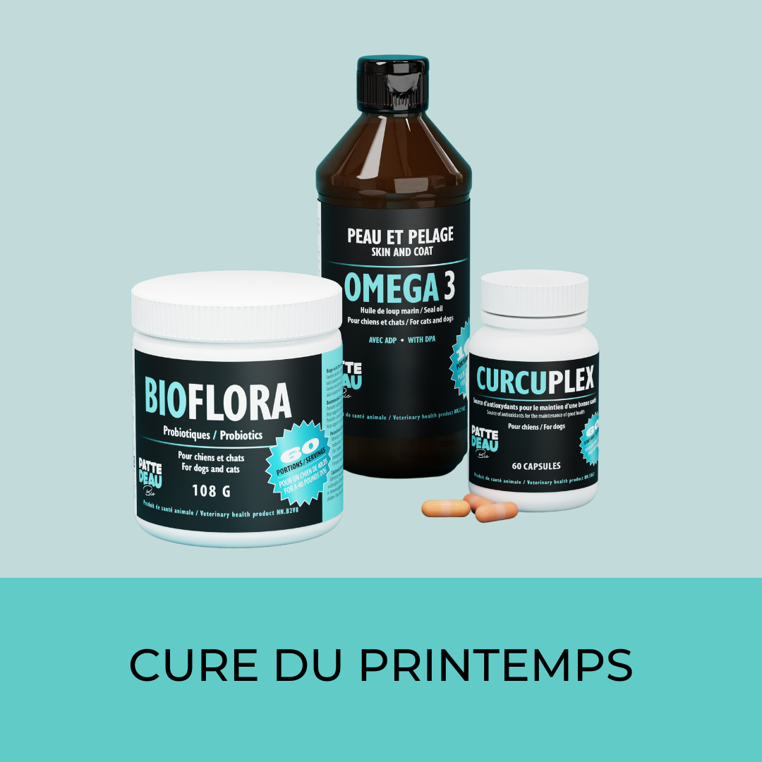 Ensemble printemps