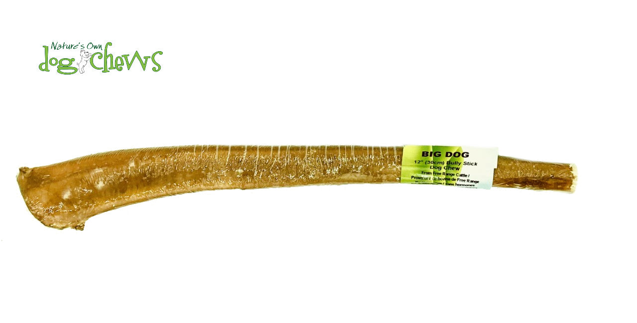 Bully stick (gros chiens) 12 pouces