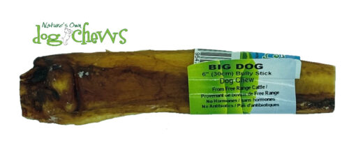 Bully stick (gros chien) 6 pouces