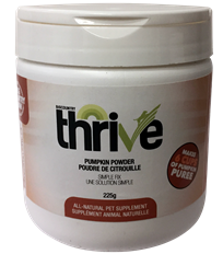 Citrouille en poudre