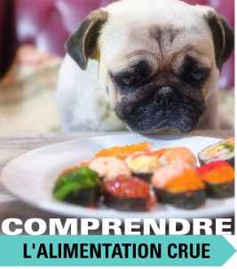 En ligne: Comprendre l&