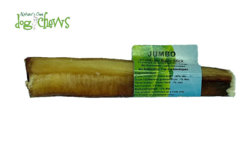 Bully stick (jumbo) 6 pouces
