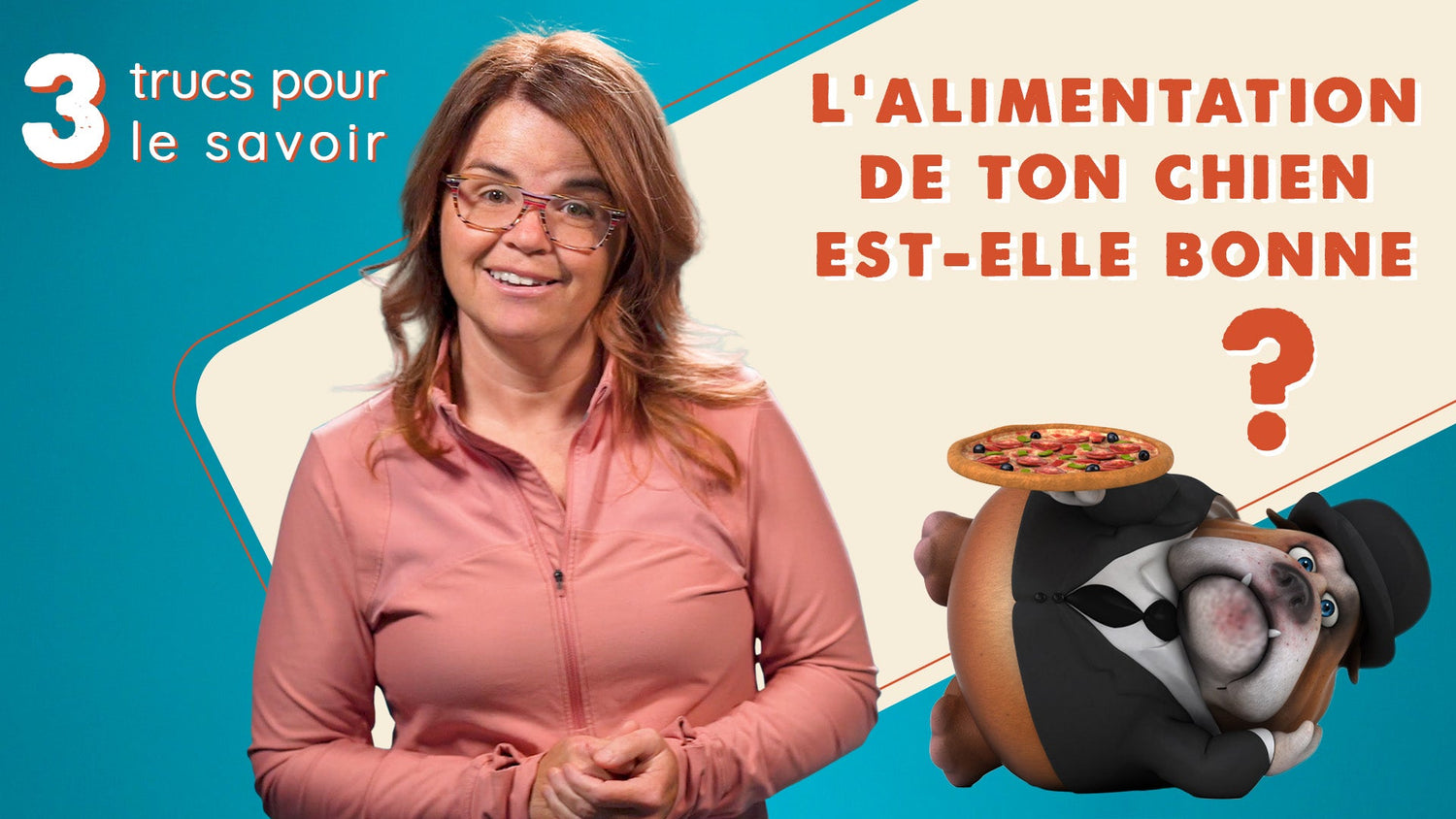 Comment va la digestion de ton chien ? Il vomit ? Il a les selles molles?