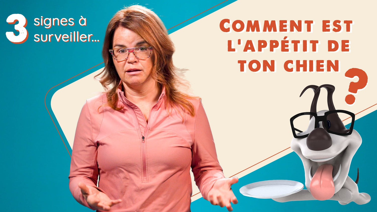 Ton chien a-t-il des problèmes d'appétit ?