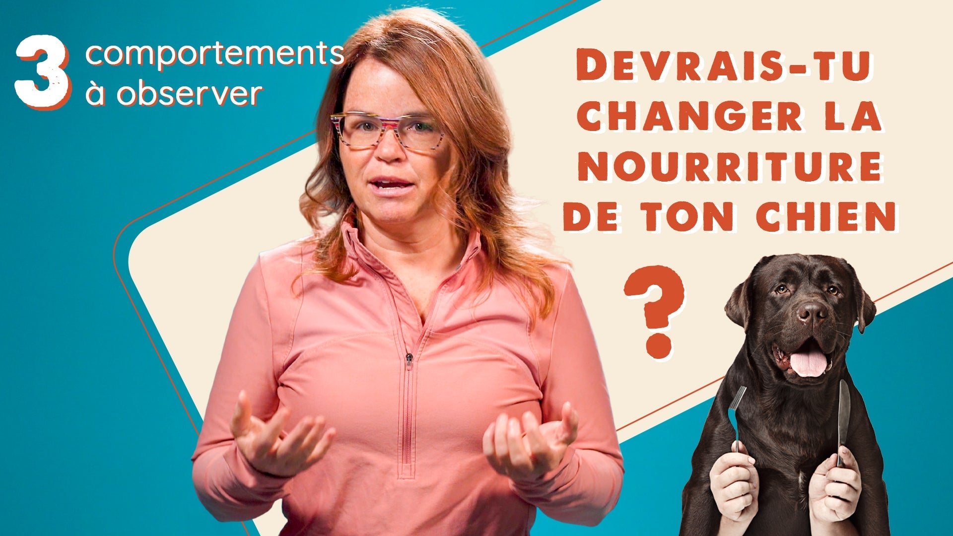 Savais-tu que la nourriture que tu donnes à ton chien peut avoir un impact sur son comportement?
