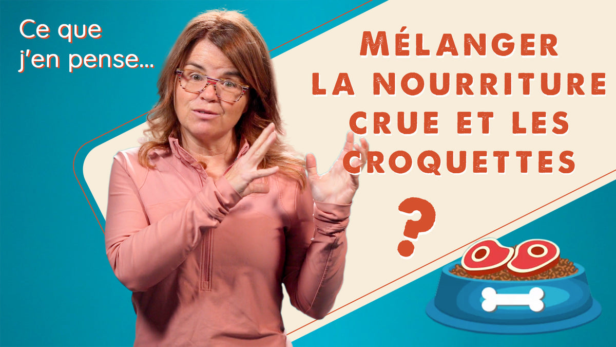 Mélanger la nourriture crue et les croquettes pour son chien Oui ou Pattedeau Bio Inc.
