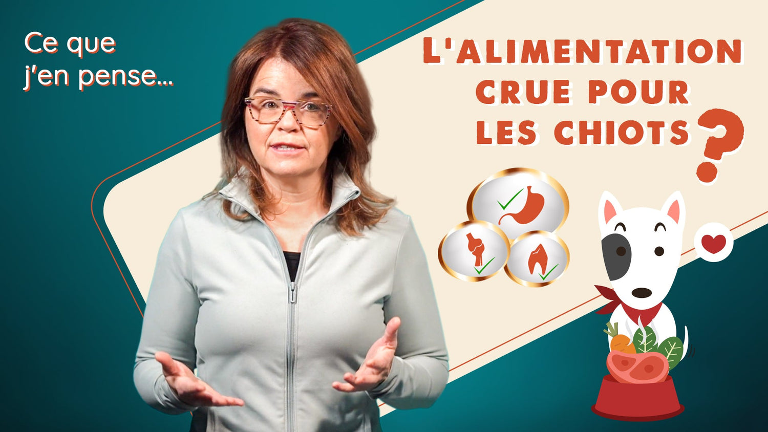 Pourquoi nourrir un chiot au cru : Trois raisons pour commencer tôt