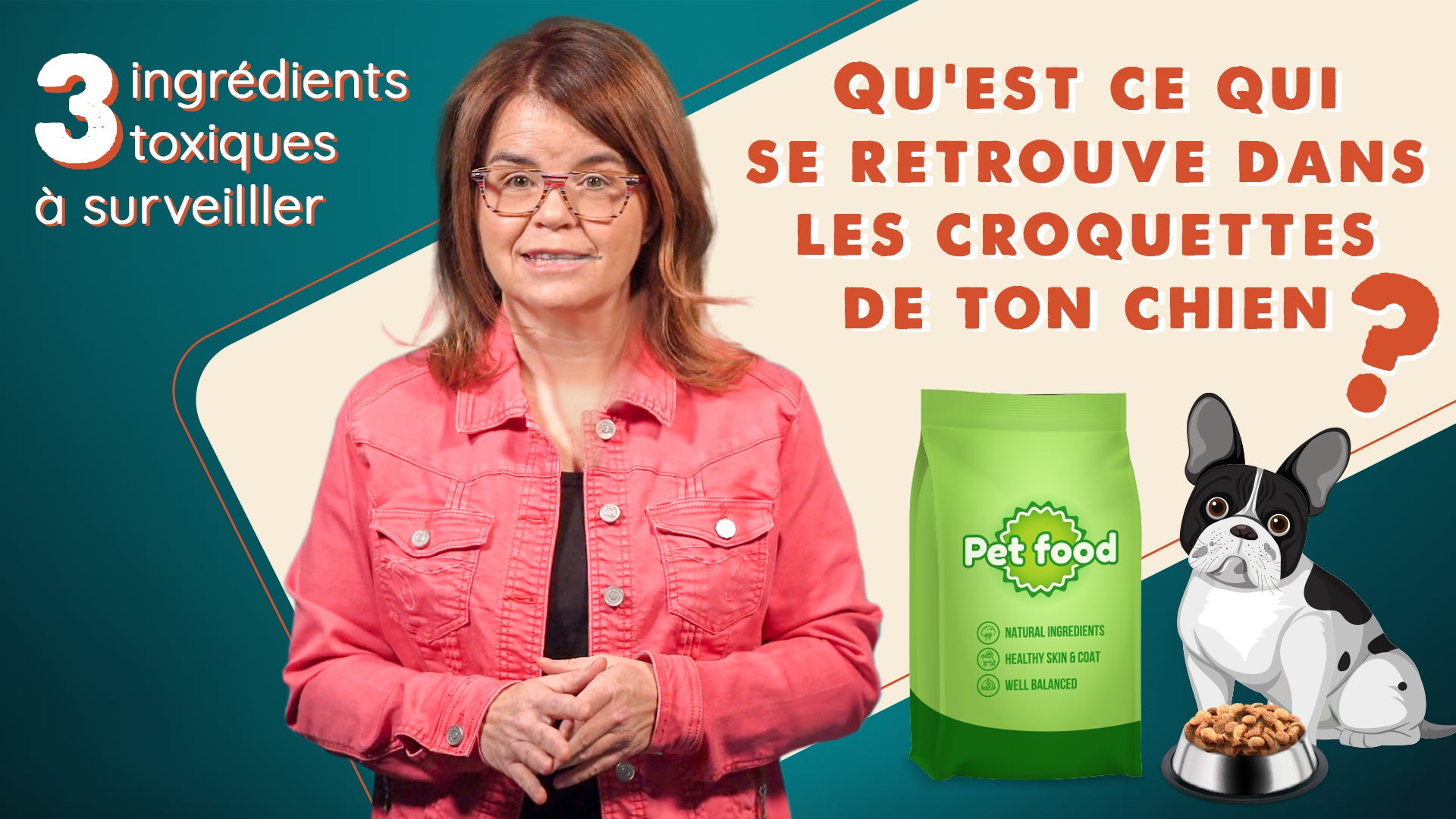 Les ingrédients toxiques dans les croquettes pour chiens : ce que tu dois savoir
