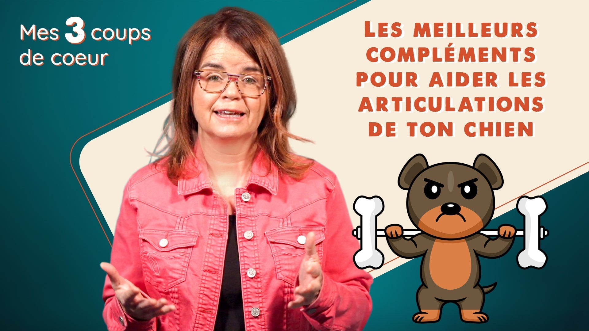 Les meilleurs compléments pour prévenir et aider les articulations de ton chien