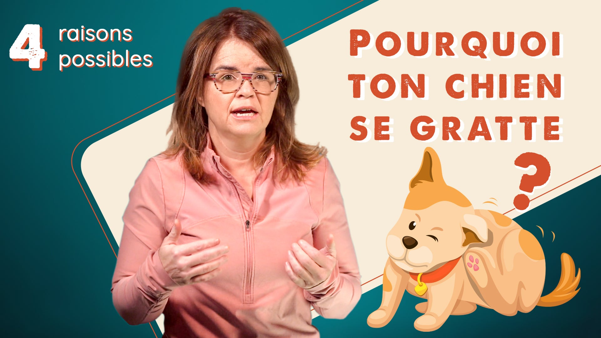 Pourquoi mon chien se gratte ?