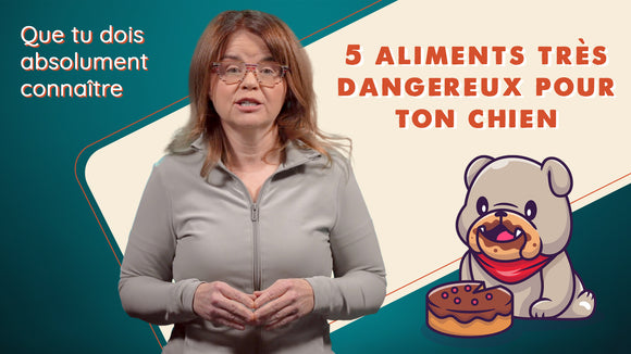 5 aliments dangereux pour ton chien à éviter absolument
