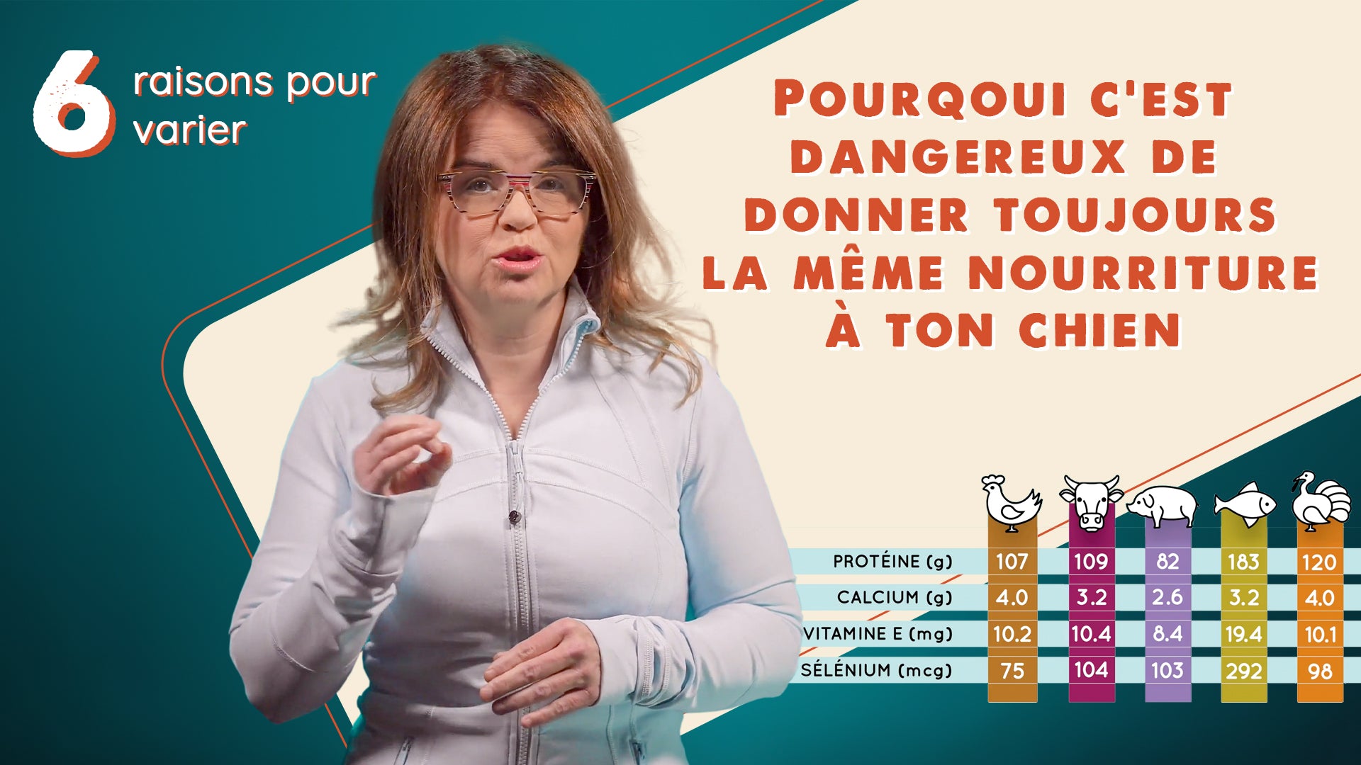 L'importance de varier la nourriture de ton chien (en 6 raisons)