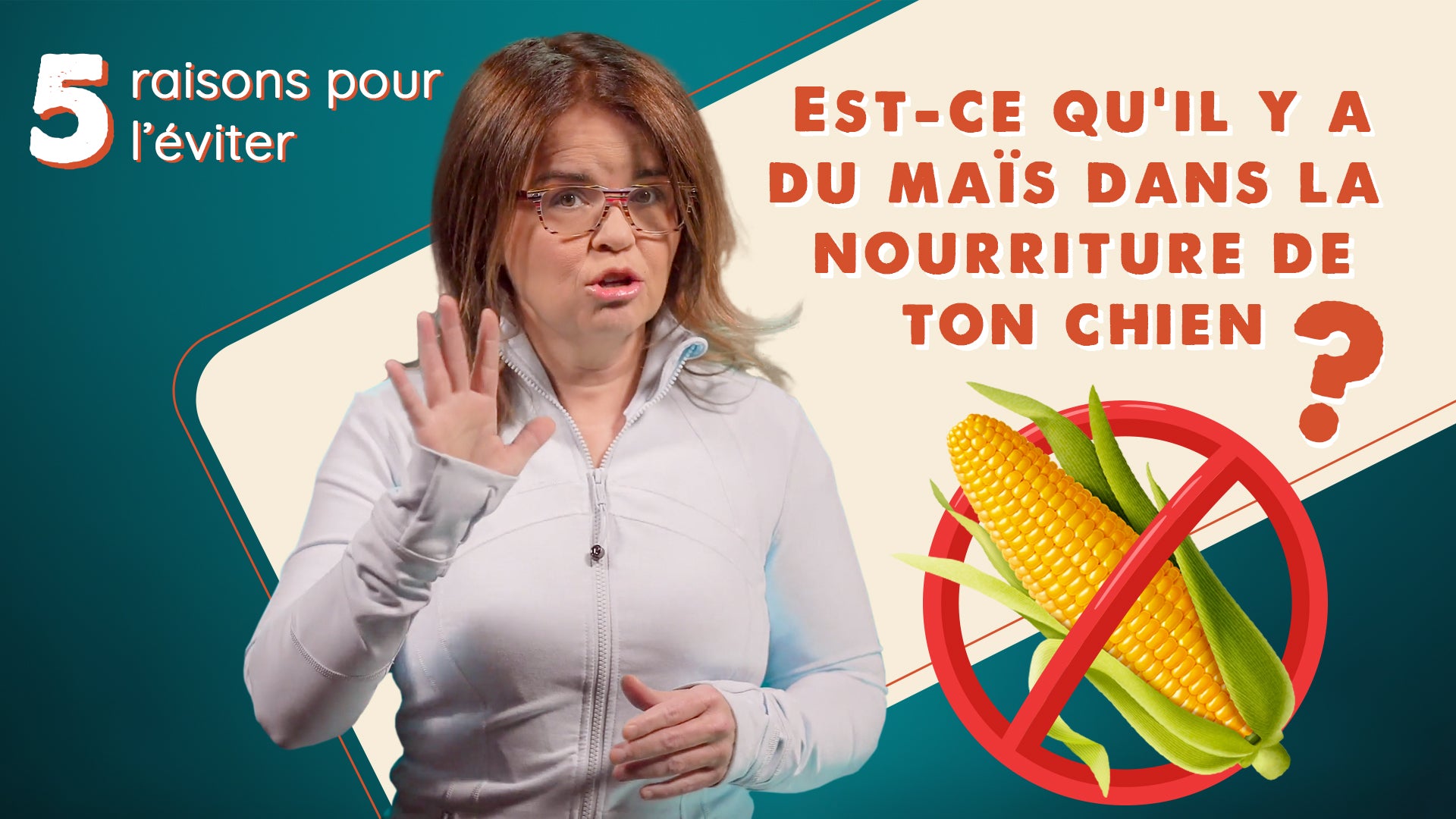 Pourquoi il faut éviter le maïs dans la nourriture de son chien