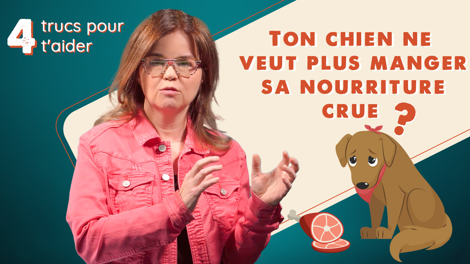 Mon chien ne veut plus manger sa nourriture crue qu’estce que je do Pattedeau Bio Inc.