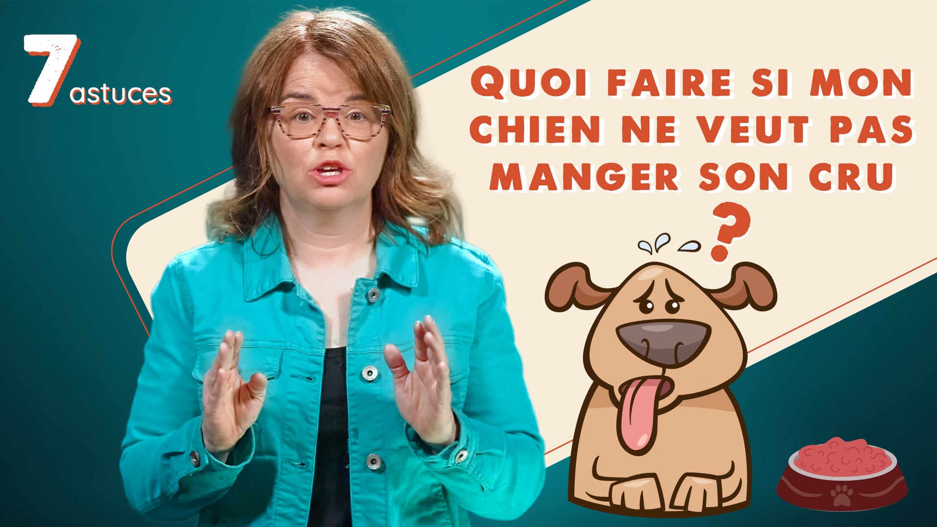 Quoi faire si mon chien ne veut pas manger de nourriture crue?