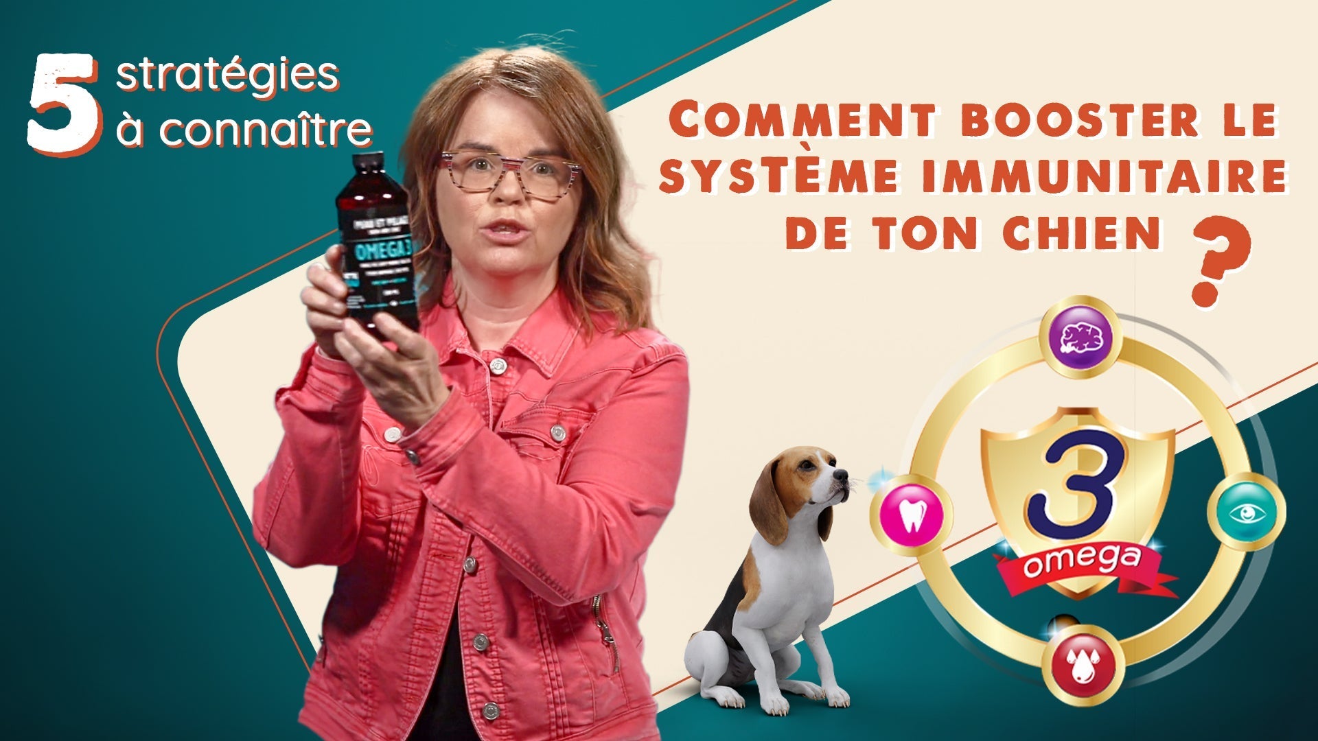 5 stratégies pour un système immunitaire solide pour ton chien