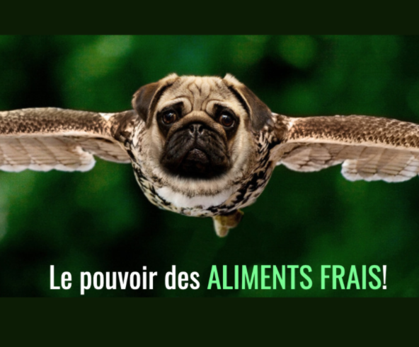 Plus c'est frais, mieux c'est!