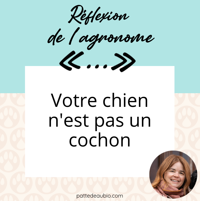 Parce que votre chien ou votre chat n'est pas un cochon!
