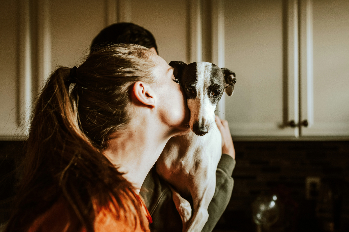 Mon chien est anxieux : causes, signes et solutions naturelles