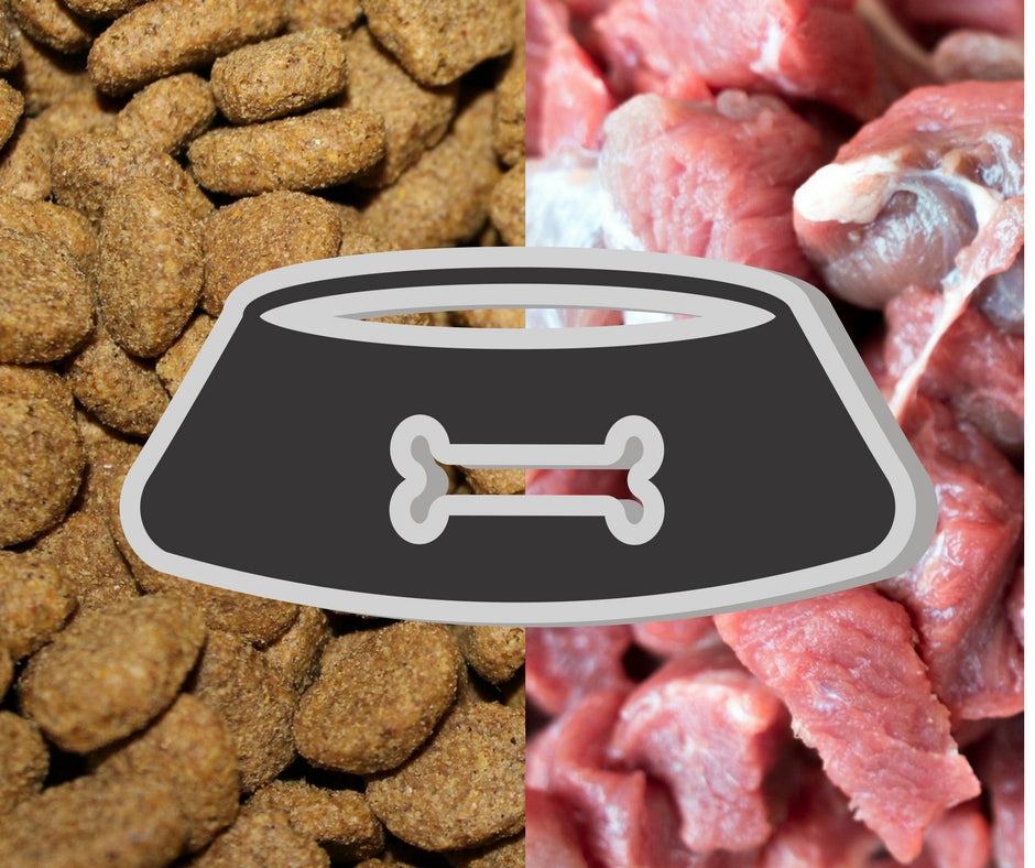 Mélanger les croquettes et le cru?