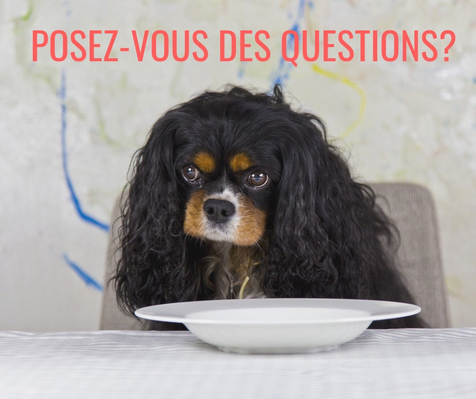 Faîtes-vous confiance aveuglément à la compagnie de nourriture de votre chien?