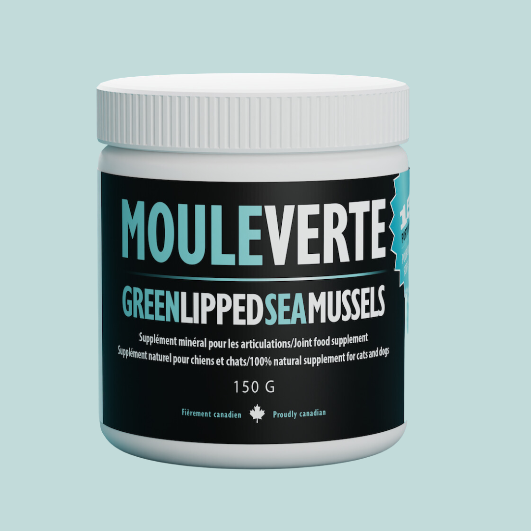 Moule Verte