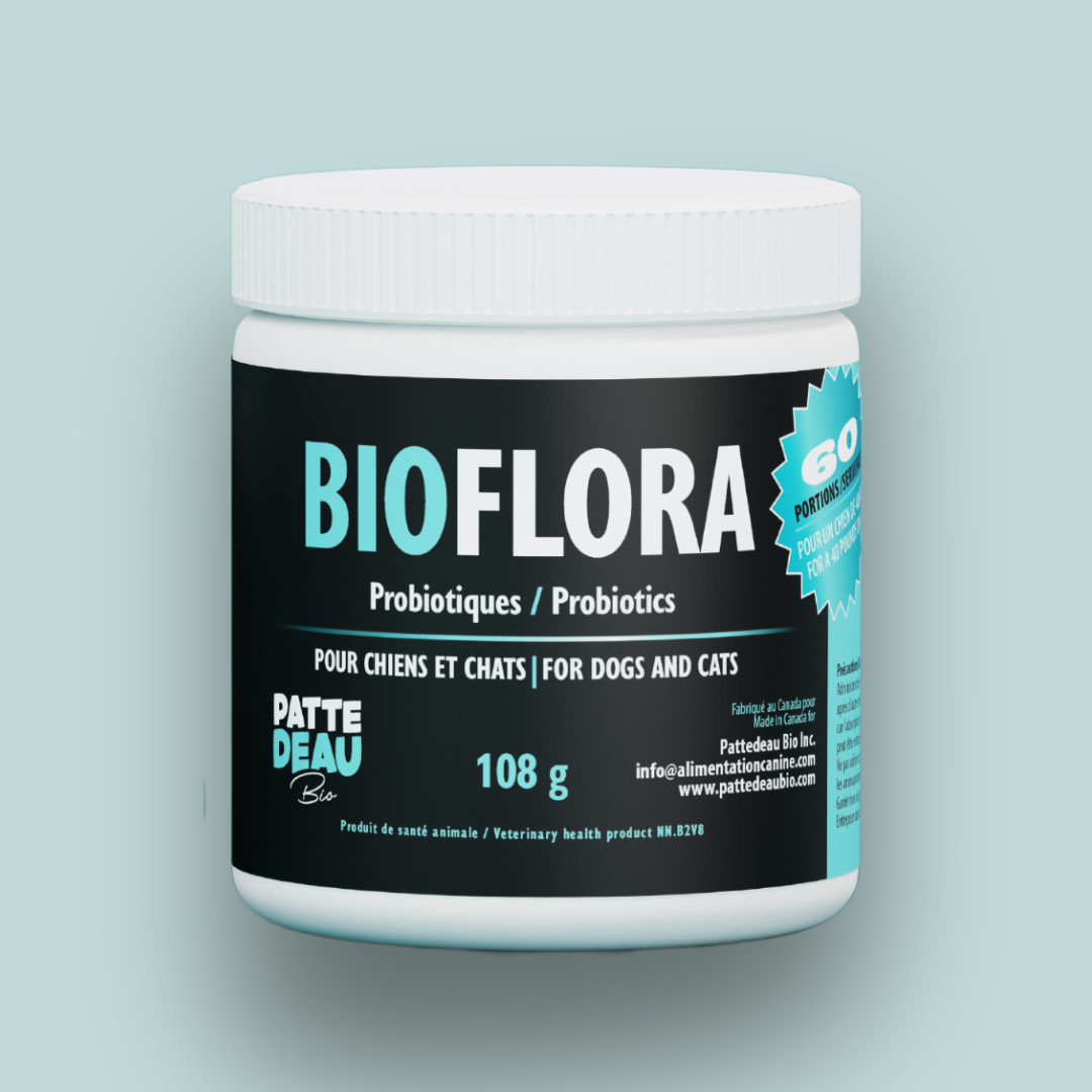 Bioflora Test Bioflora – Probiotique pour chiens et chats | Santé Intestinale ...