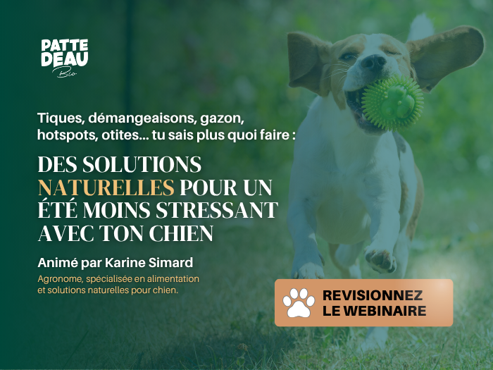 REDIFFUSION DU WEBINAIRE