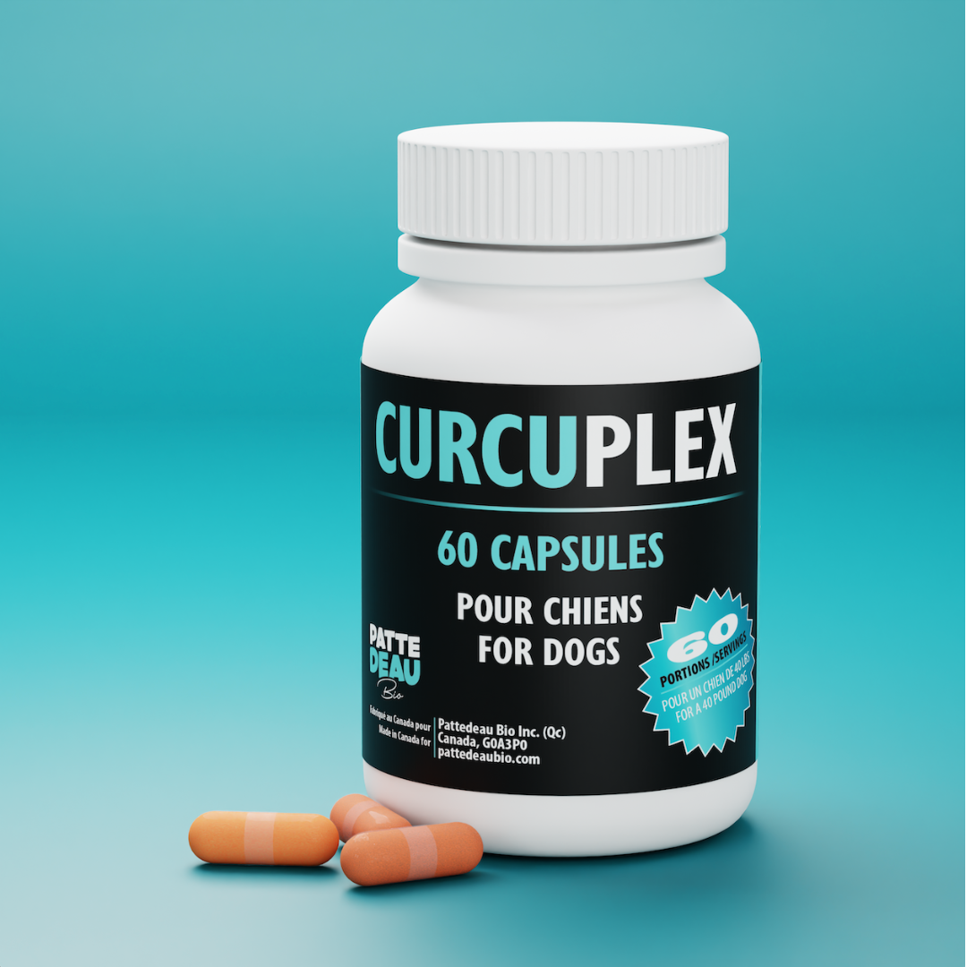 Curcuplex Pattedeau bio