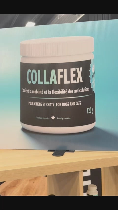 Collagène Liquide Pour Chien - 60 Ml, Saveur Bacon, Pour Articulations, Pelage Brillant Et Digestion - Avec Biotine, MSM, Gingembre