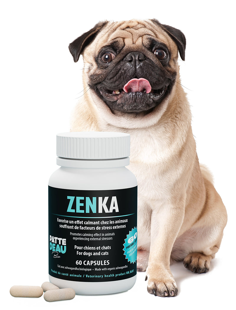 Zenka Net Zenka – Supplément naturel anti-anxiété pour chiens et chats ...