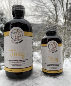Toxy (Détoxication)