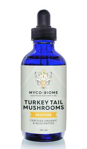 Mycobiome (Champignon turkey tail-colorius)