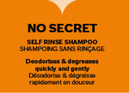 No Secret Shampoing sec et traitant (250ml)