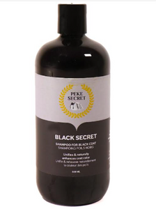 Shampoing Black Secret (noir) (500ml)