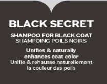 Shampoing Black Secret (noir) (500ml)