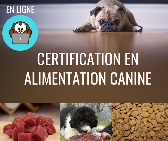 En ligne: Certification professionnelle en alimentation canine