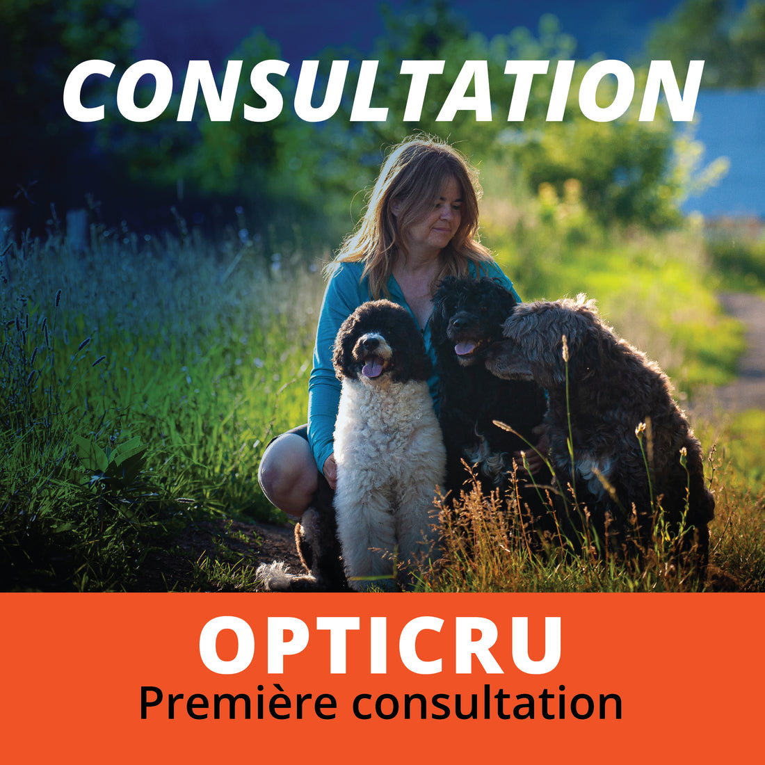 OPTICRU- Animal sans condition particulière