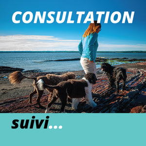 SUIVI